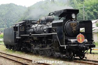 090801_C57-1a.jpg