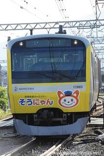 S11000nɂgC
