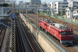 ED75AT入場配給