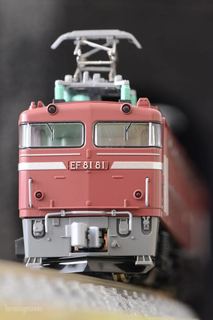 Jg[EF81-81 mQ[W