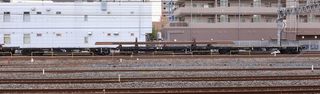 180818_chiki6069a_yono.jpg