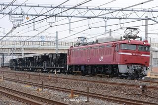 190424_EF81-139_hai8936re.jpg