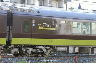 190806_485yamadori3.jpg