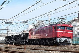 200212_hai8936re_ef81-133a.jpg