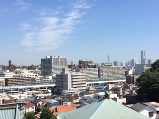 image-46c60.jpg